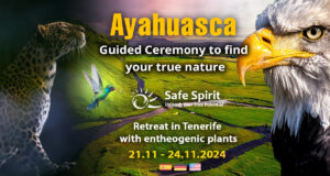 Ayahuasca Retreat Tenerife