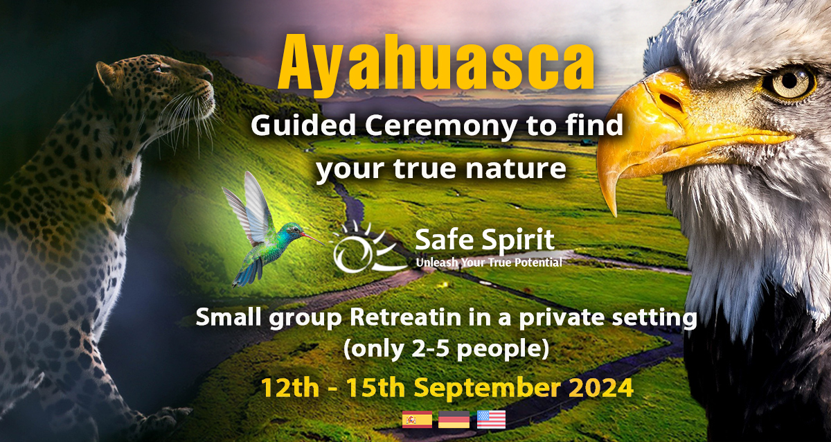 Small group Ayahuasca Retreat