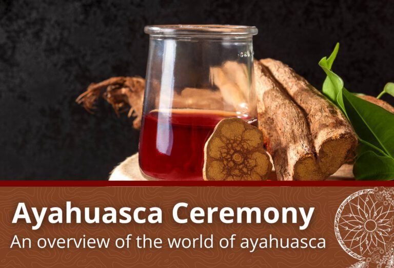 Ayahuasca ceremony