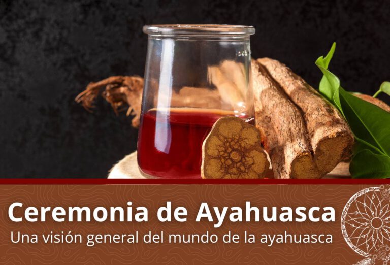 Cómo funciona la Ayahuasca