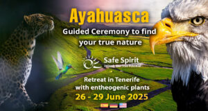 Ayahuasca June 2025 Spain