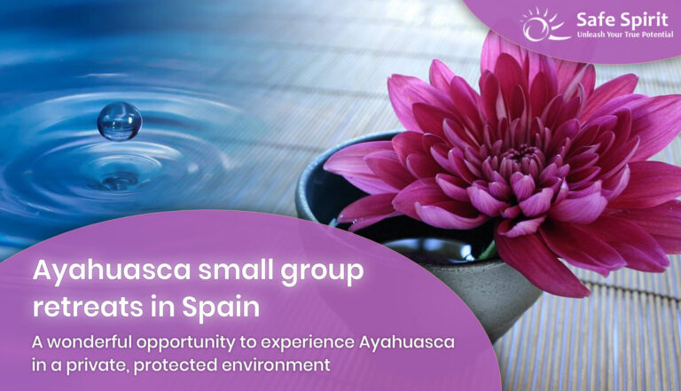 Ayahuasca in a small group and private setting
