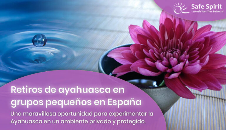 retiro de Ayahuasca privado