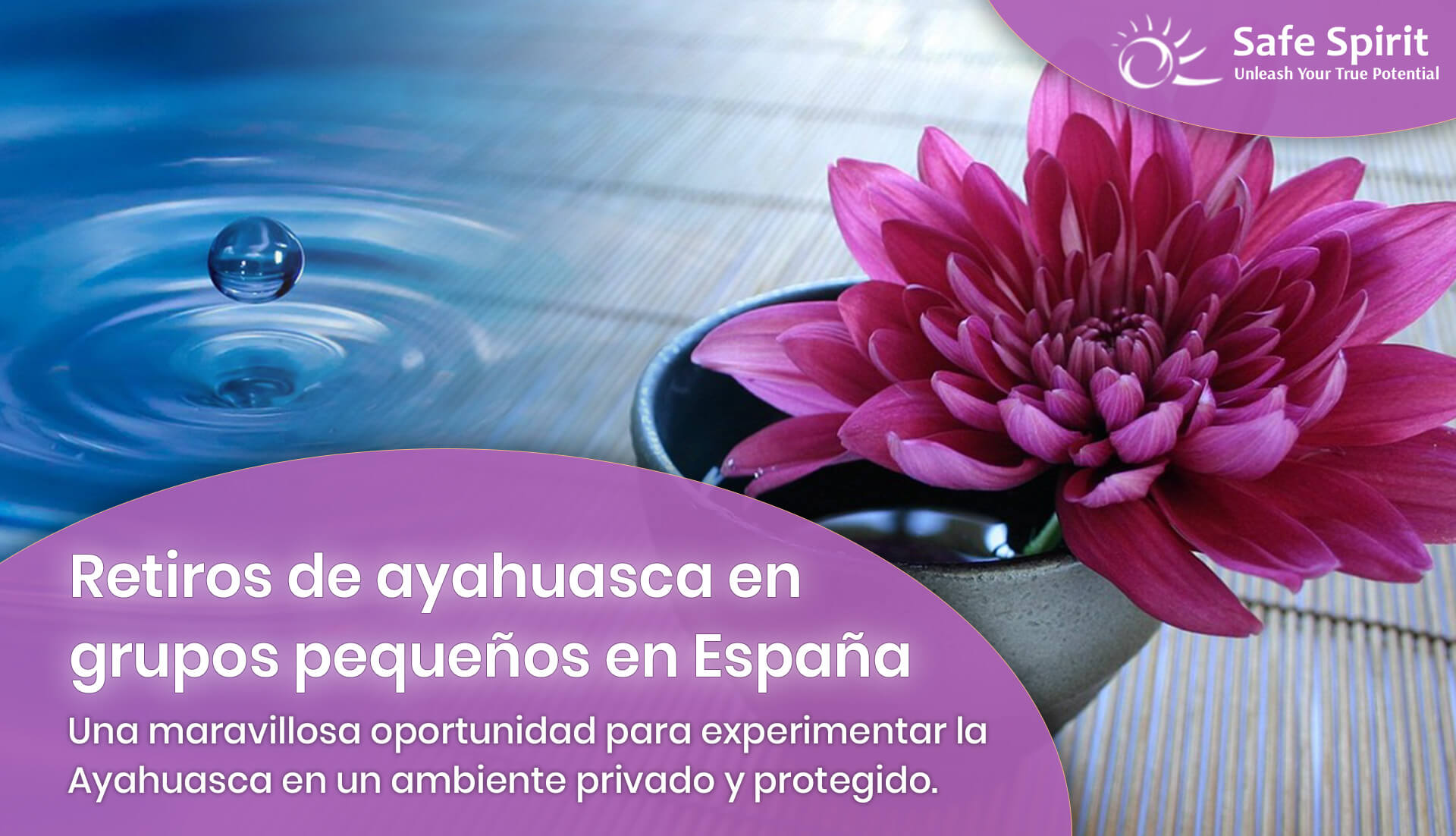 retiro de Ayahuasca privado