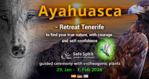 Ayahuasca Retreat in Tenerife, picture with power animaly wolve and eagle