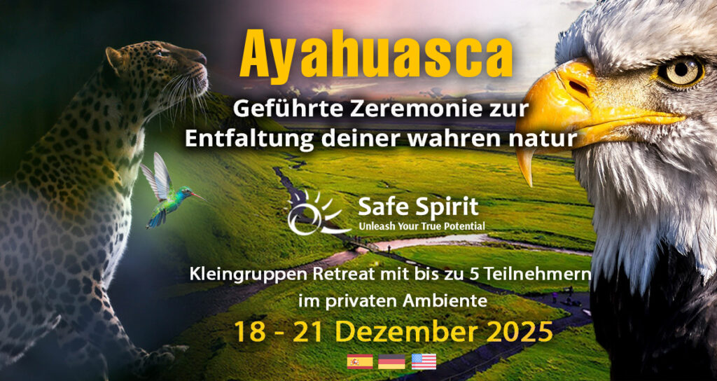 Ayahuasca Retreat privat auf Deutsch