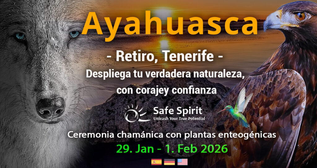 Retiro de Ayahuasca 