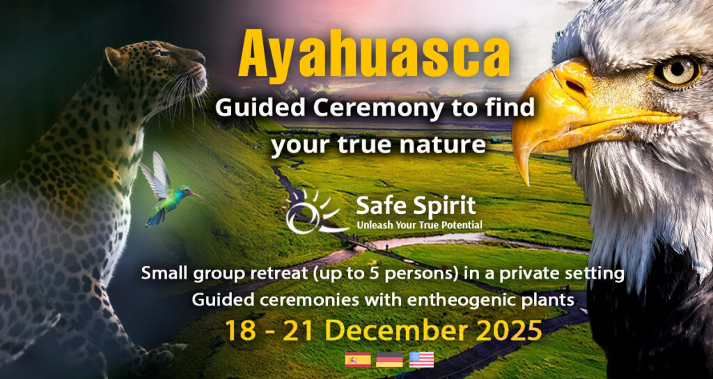 Ayahuasca Retreat