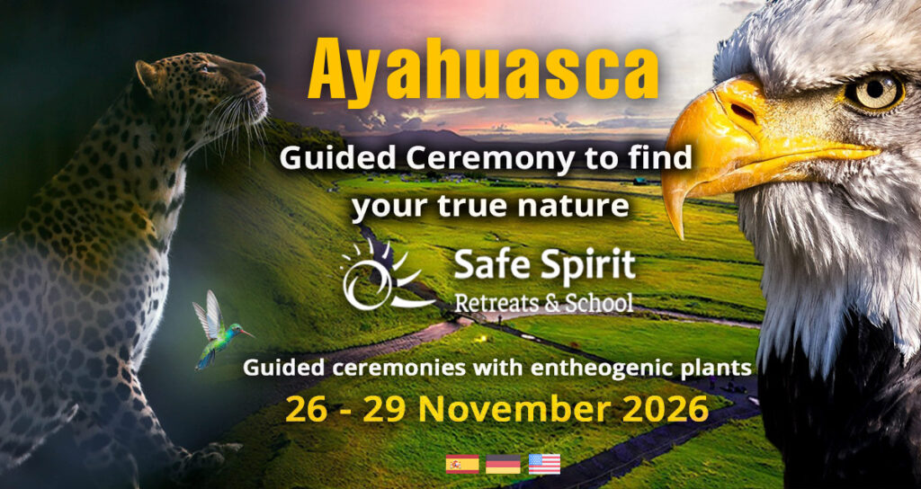 Ayahuasca Retreat