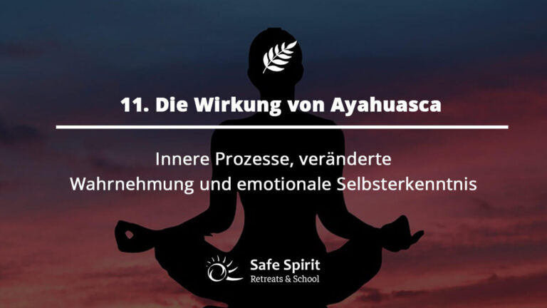 Wirkung von Ayahuasca, Inere Welten Selbsterforschung