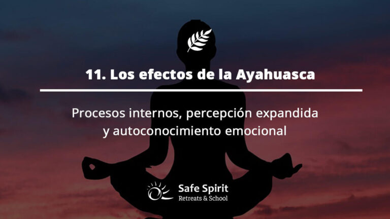 Guia de Ayahuasa