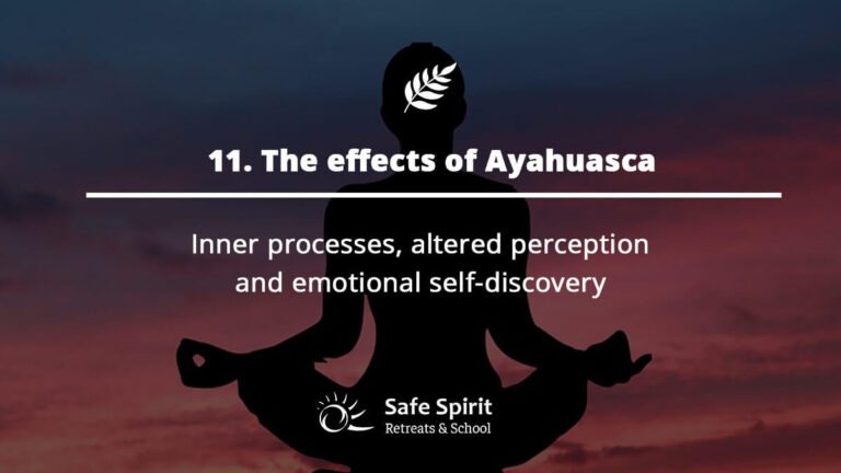 The effects of Ayahuasca