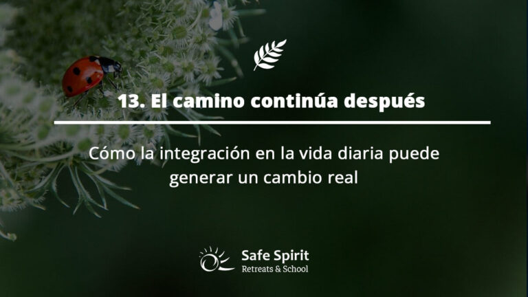 Guia de Ayahuasa