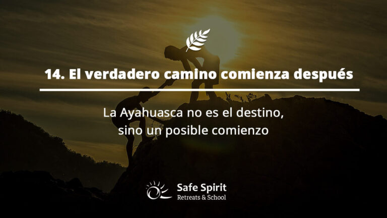 Guia de Ayahuasa