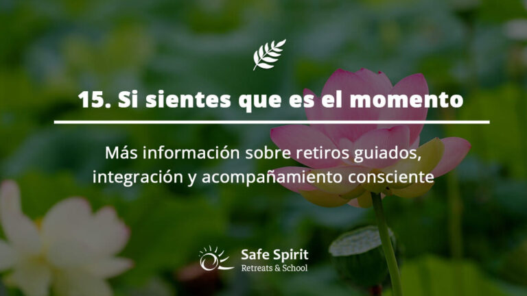 Guia de Ayahuasa