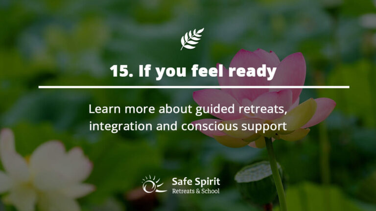 Safe Spirit