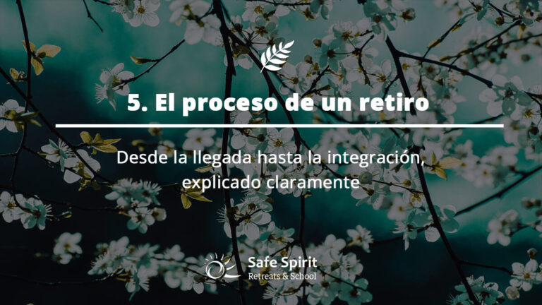Guia de Ayahuasa