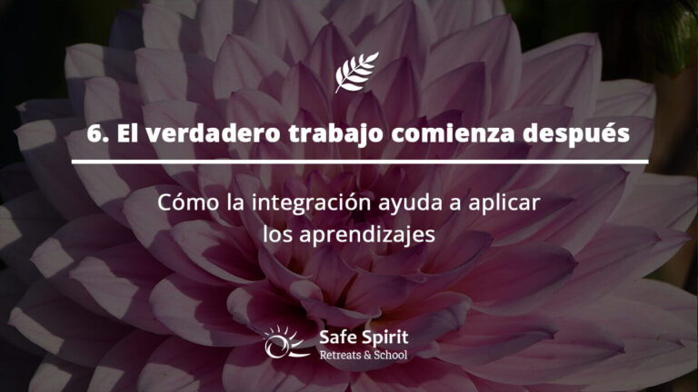 Guia de Ayahuasa