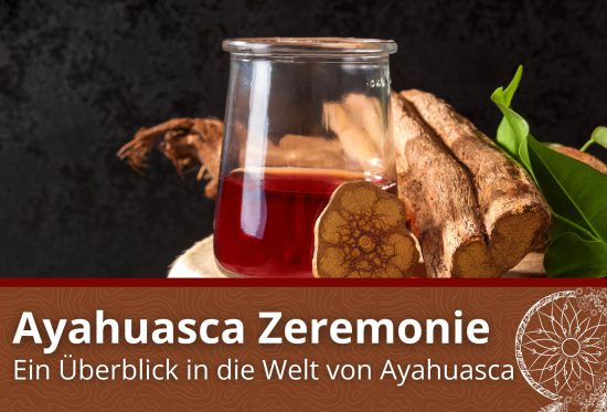 Was ist eine Ayahuasca Zeremonie?