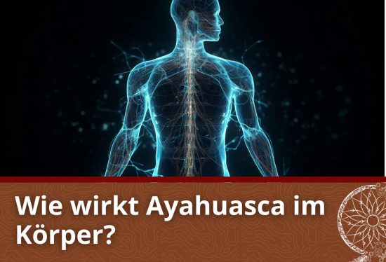 Wie wirkt Ayahuasca im Körper